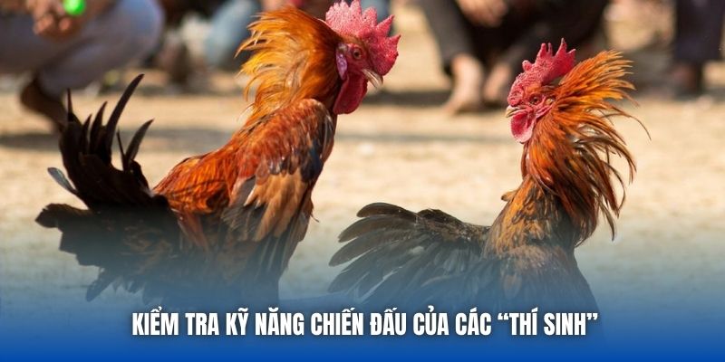 Kiểm tra kỹ năng chiến đấu của các “thí sinh”