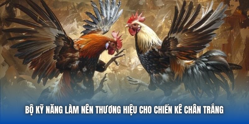 Bộ kỹ năng làm nên thương hiệu cho chiến kê chân trắng
