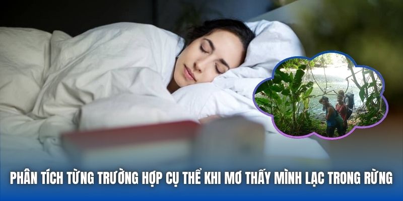 Phân tích từng trường hợp cụ thể khi mơ thấy mình lạc trong rừng 