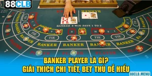 Banker Player Là Gì? Giải Thích Chi Tiết, Bet Thủ Dễ Hiểu